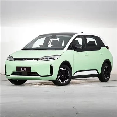 Ny Energi Elektrisk BYD D1